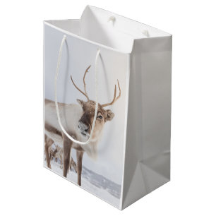 Sac Cadeau Moyen Photo de la nature des rennes