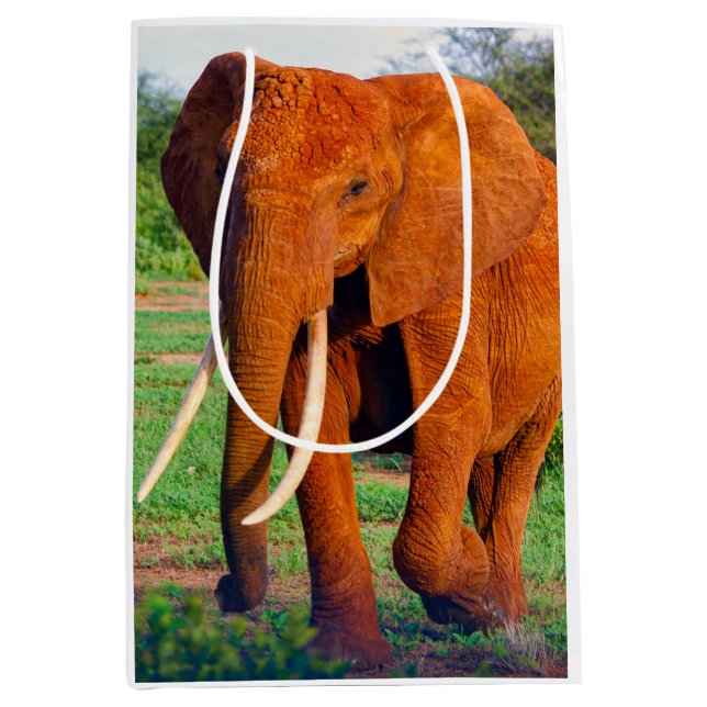 Sac Cadeau Moyen Photo d'éléphant d'Afrique adulte (Devant)
