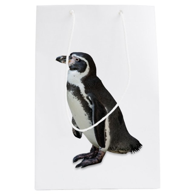 Sac Cadeau Moyen Pingouin (Devant)