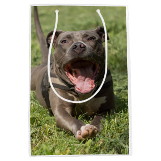 Sac Cadeau Moyen Pitbull dans l'herbe| Photo modifiable