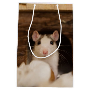 Sac Cadeau Moyen Rat mignon