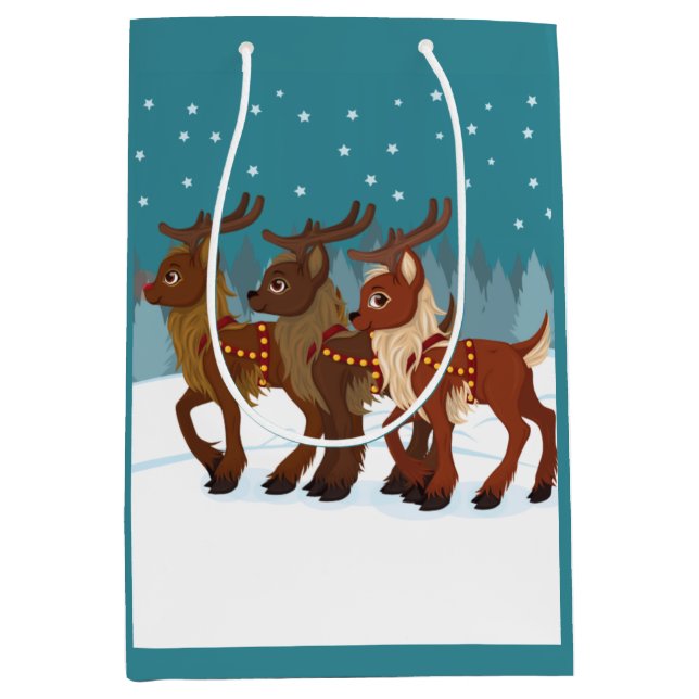 Sac Cadeau Moyen Rennes dans la neige (Devant)