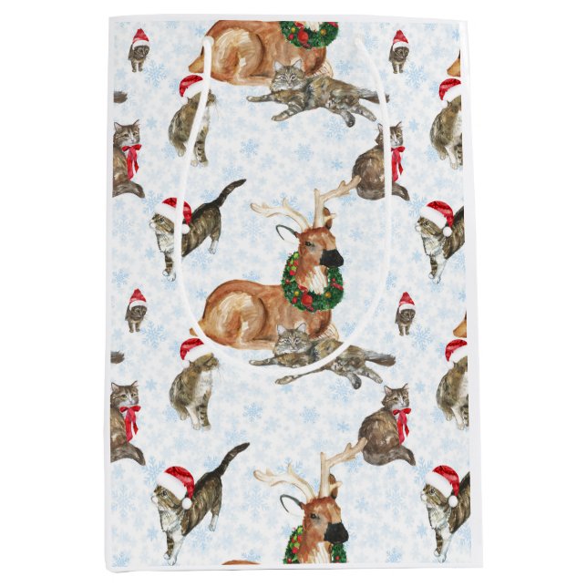 Sac Cadeau Moyen Rennes et chats (Devant)