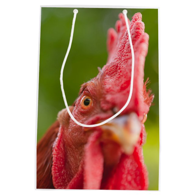 Sac Cadeau Moyen Rhode Island Red Rooster (Dos)