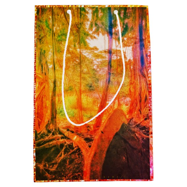 Sac Cadeau Moyen Rivière Banyan/Balade Avec Étoiles Eve (Devant)