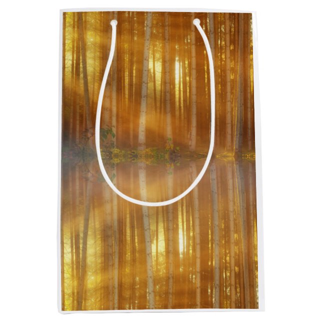 Sac Cadeau Moyen Scène de la forêt de Misty (Devant)