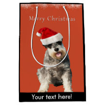 Schnauzer avec le casquette de Noël