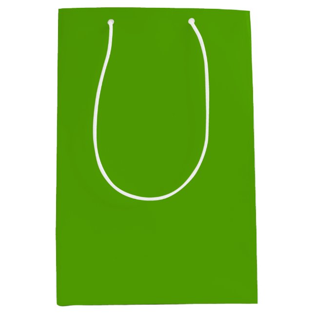 Sac Cadeau Moyen Solide Jolly Green (Devant)
