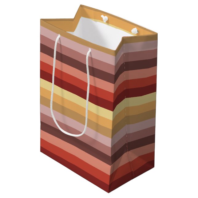 SAC CADEAU MOYEN STRIPES COLORÉS AUTOMNE (Devant Angle)