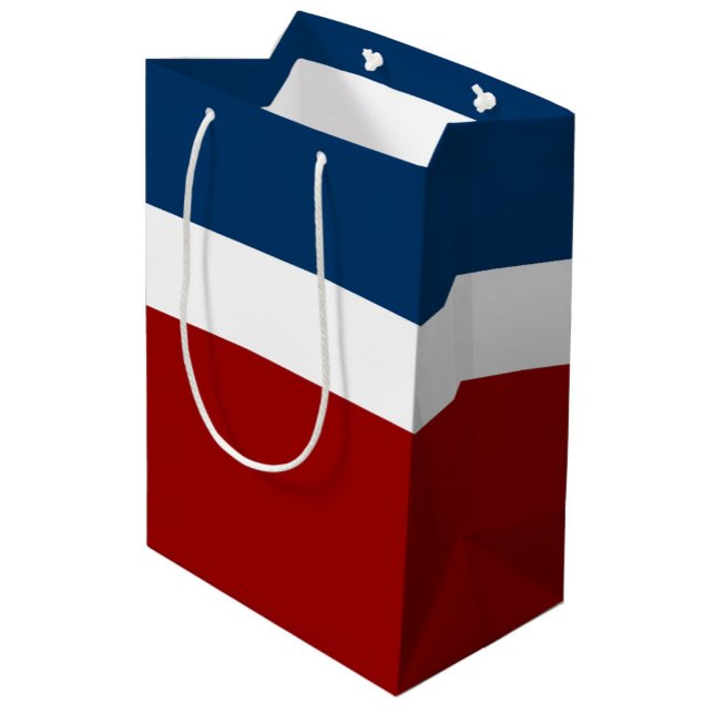 Sac Cadeau Moyen Style de bloc de couleur bleu blanc (Créateur téléchargé)