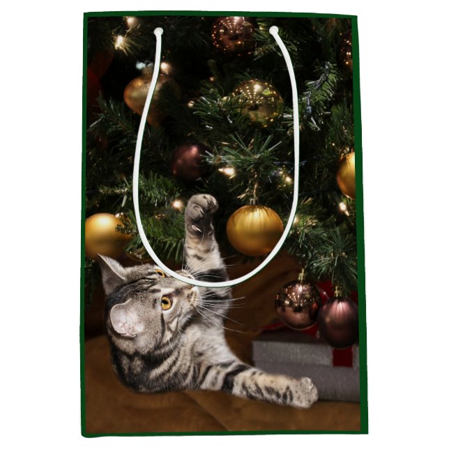 Sac Cadeau Moyen Tabby de Noël (Devant)