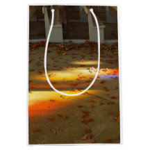 Tabernacle Feuilles and Light - Martha's Vineyard