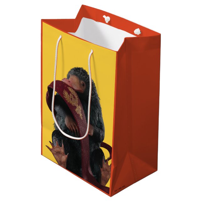 Sac Cadeau Moyen Teddy With Tie Graphic (Devant Angle)