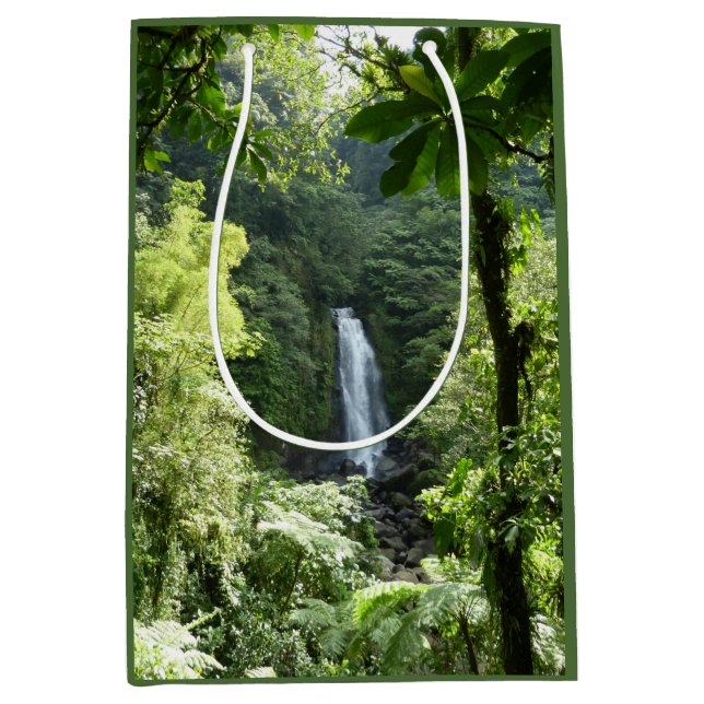Sac Cadeau Moyen Trafalgar Falls Tropical Rainforest Photographie (Devant)