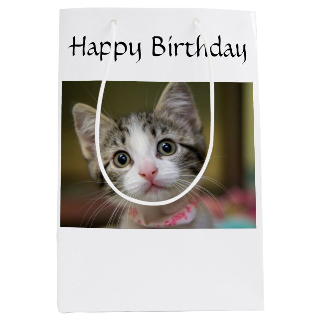 Sac Cadeau Moyen Un chaton mignon aux yeux verts (Devant)