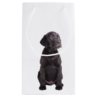 Sac Cadeau petit chiot mignon de labrador retriever