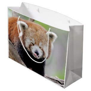 Sac cadeau Photo panda rouge, animaux 0272.