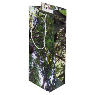 Sac Cadeau Pour Bouteille Arbre Avocado