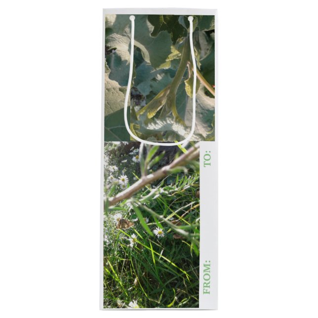 Sac Cadeau Pour Bouteille CARTE cadeau VINS COMBO / MMETROPOLIM DESIGN (Devant)