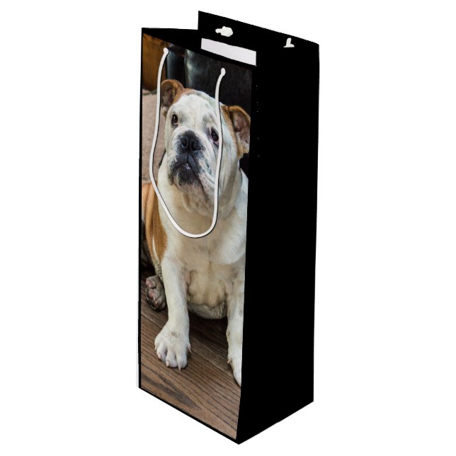 Sac Cadeau Pour Bouteille Chiot britannique de bouledogue (Devant Angle)