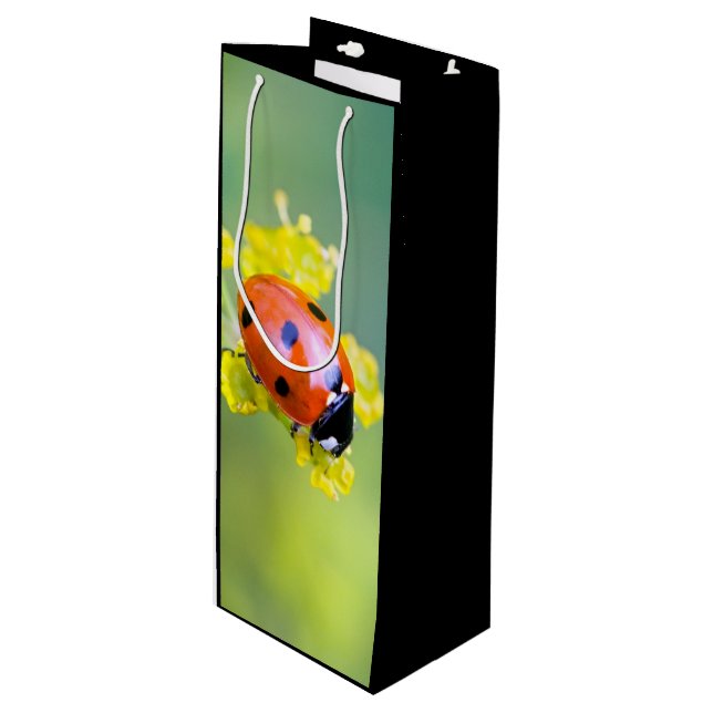 Sac Cadeau Pour Bouteille femme au sommet (Devant Angle)