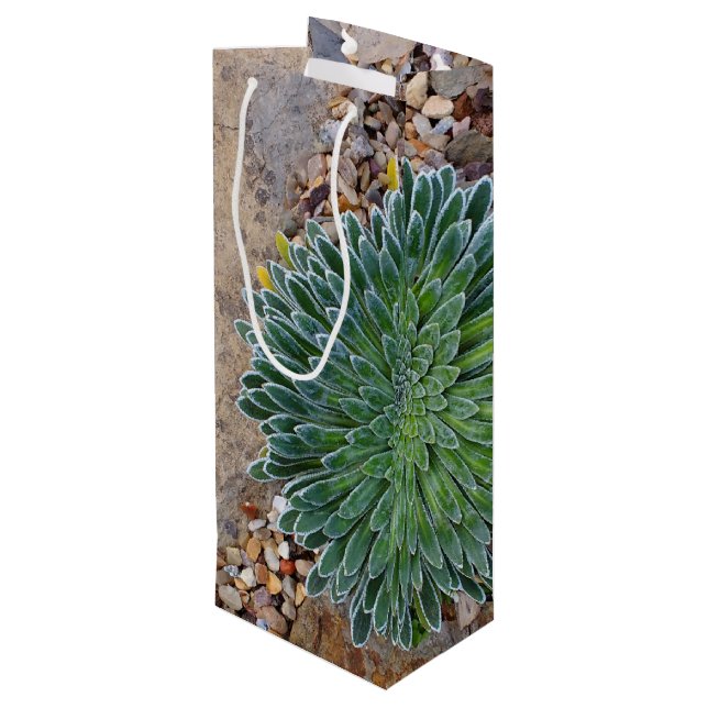 Sac Cadeau Pour Bouteille Succulent plante du désert (Dos Angle)
