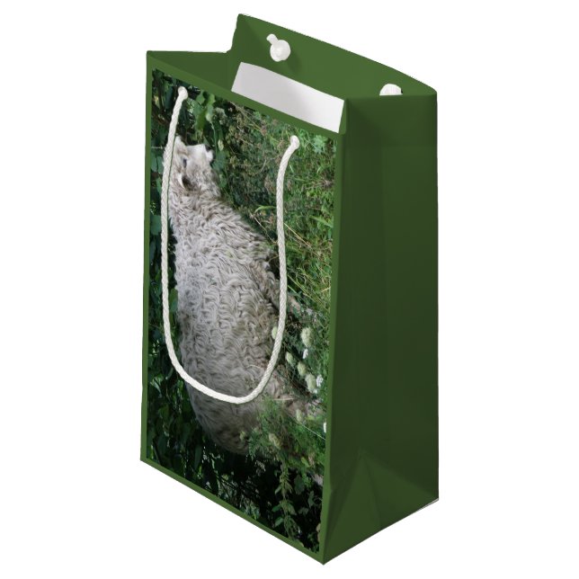 Sac cadeau pour manger des moutons gourmands (Devant Angle)