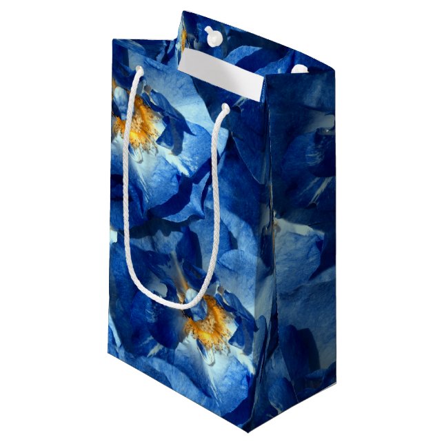 Sac cadeau rose bleu (Devant Angle)