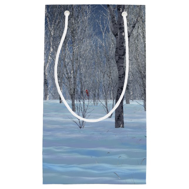 Sac cadeau Silent Light (Devant)