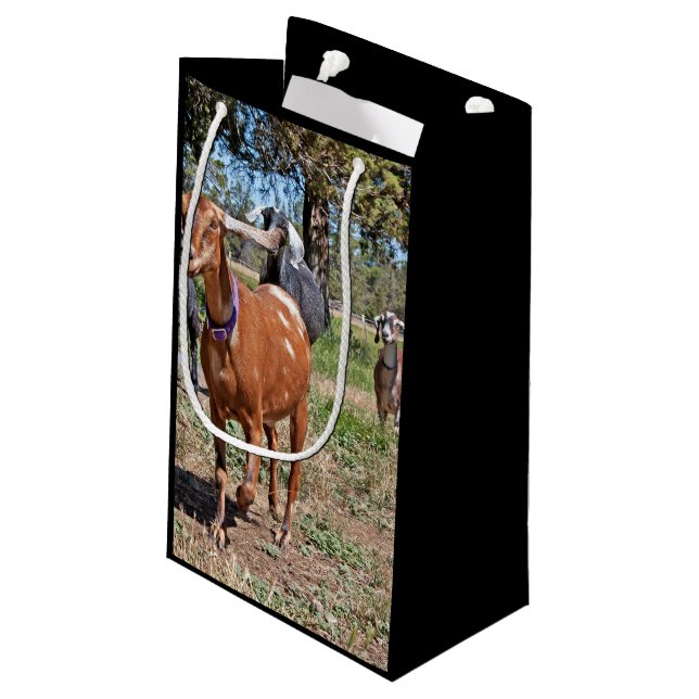 Sac Cadeau Un petit troupeau de chèvres courantes (Dos Angle)