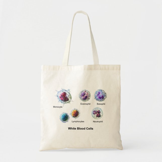 Sac Cellules de sang blanches Leukocytes Diagramme (Devant)