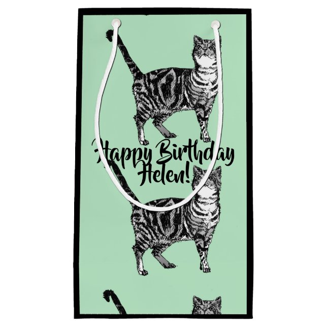 Sac Chat Tigré Mignon Animaux Familiers (Devant)