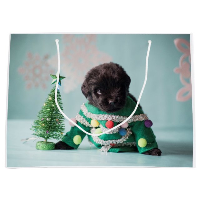 Sac de cadeau de chiot d'ours de Notta (Devant)