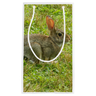 Sac de cadeau de lapin