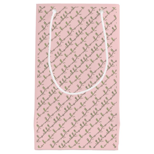 Sac de Cadeau de Leçons de Danse (Rose) (Devant)