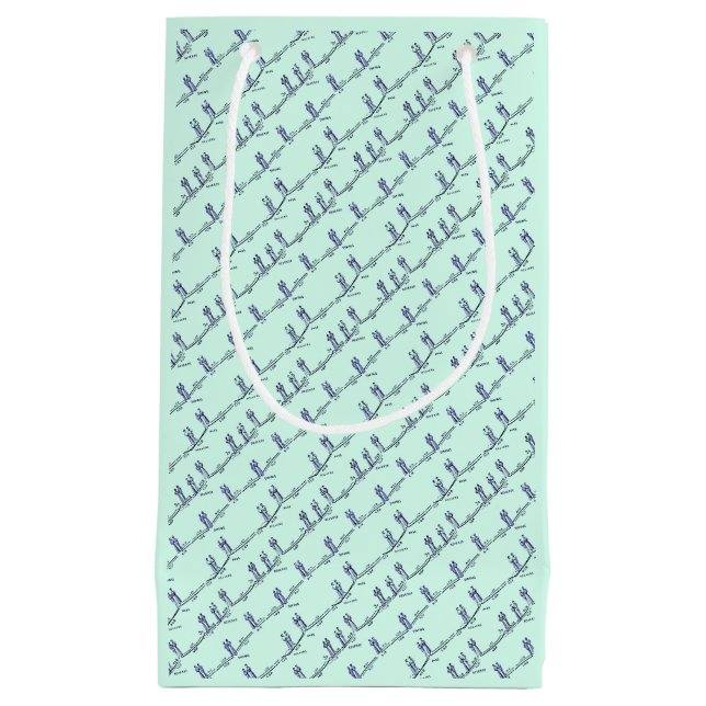 Sac de Cadeau de Leçons de Danse (Vert) (Devant)