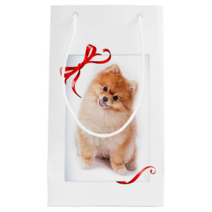 Sac de cadeau de Pomeranian