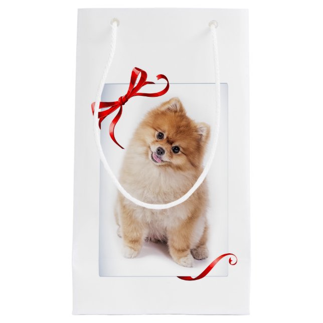 Sac de cadeau de Pomeranian (Devant)