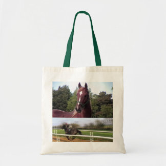 Sac de cheval de course