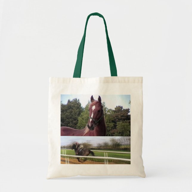 Sac de cheval de course (Devant)