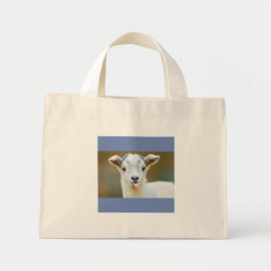 Sac de chèvre