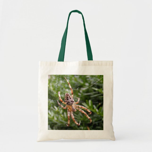Sac de ~ d'araignée de jardin (Devant)