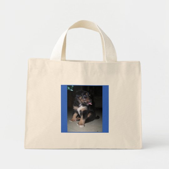 sac de framboise de chiot