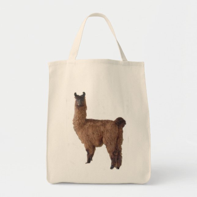 Sac de lama (Devant)