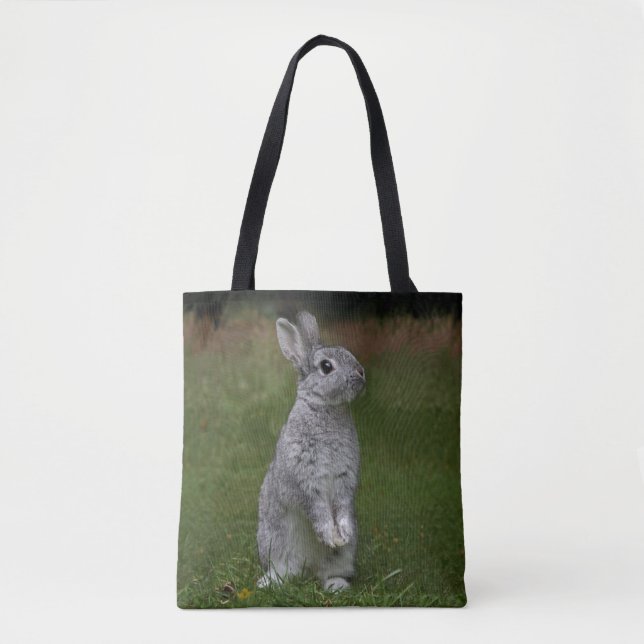 Sac de lapin mignon bébé (Devant)