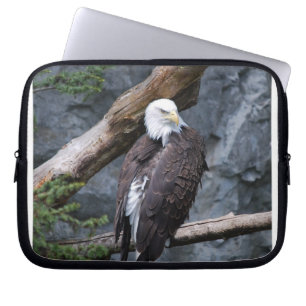 Sac de l'électronique de perche d'Eagle