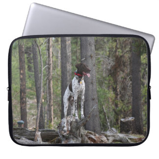 Sac de l'électronique - indicateur de Shorthair