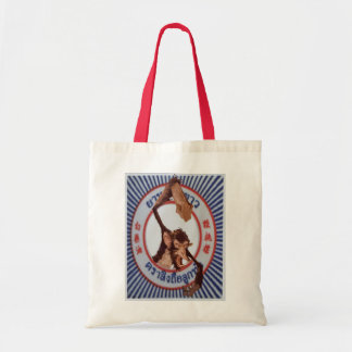 Sac de singe