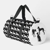 Greyhound italien
