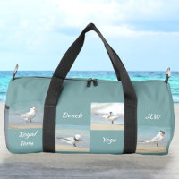 Plage Yoga Oiseaux marins Ternes Photographie Aqua